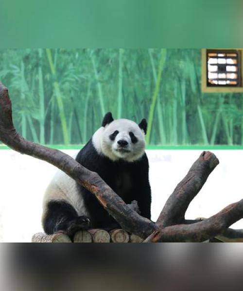 汤山新闻今日综述，最新消息全掌握