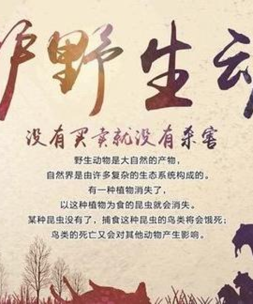 志丹暴雨最新消息，天灾无情，人间真情显大爱
