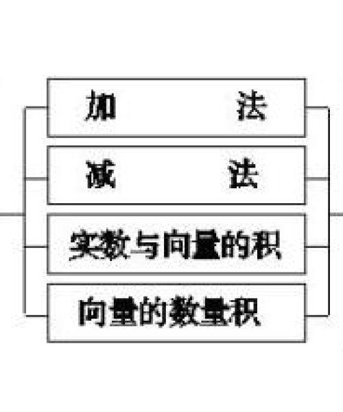 高三学子最新动态，教育热点一网打尽
