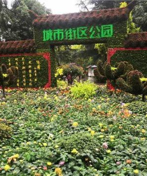 独家揭秘，秋日成都未知秘境，必游景点一网打尽！