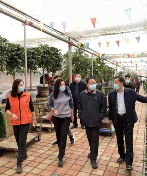 济南疫情最新轨迹揭秘，防控进展及应对策略全解析