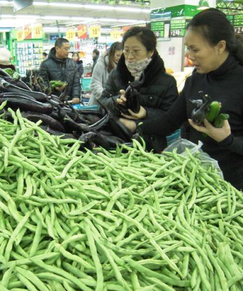今日豇豆市场行情解析，最新报价与价格动态全掌握