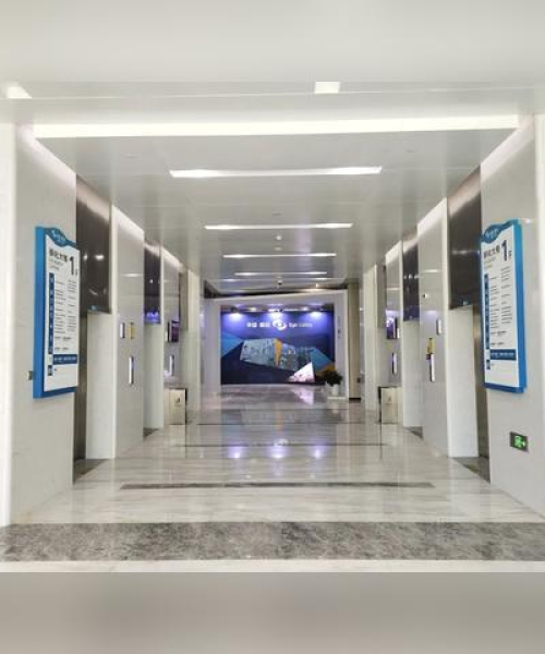 永中石浦最新发展动态，新闻头条探索新发展之路