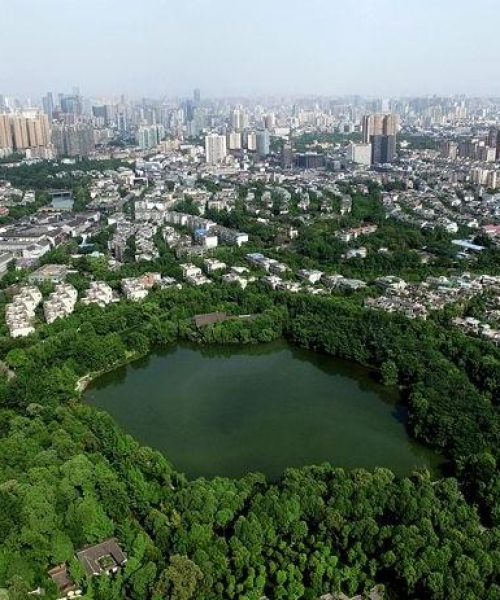 崇州与双流区协同发展引领区域进步，新闻头条聚焦地方发展动态