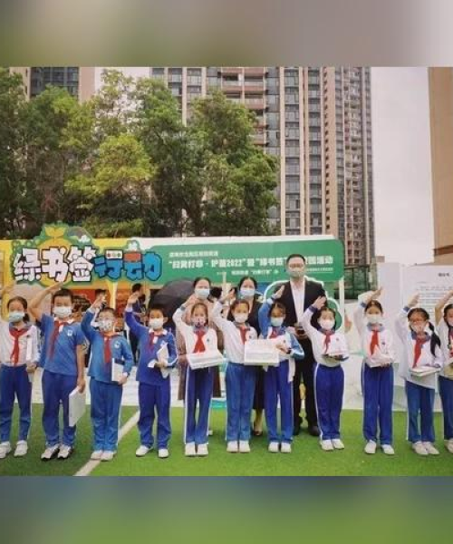 龙岗最新土拍消息揭秘，土地市场繁荣背后的机遇与挑战