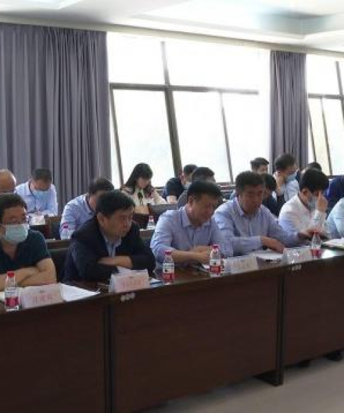 蒲城清洁能源事件最新进展揭秘，新能源领域的挑战与机遇并存