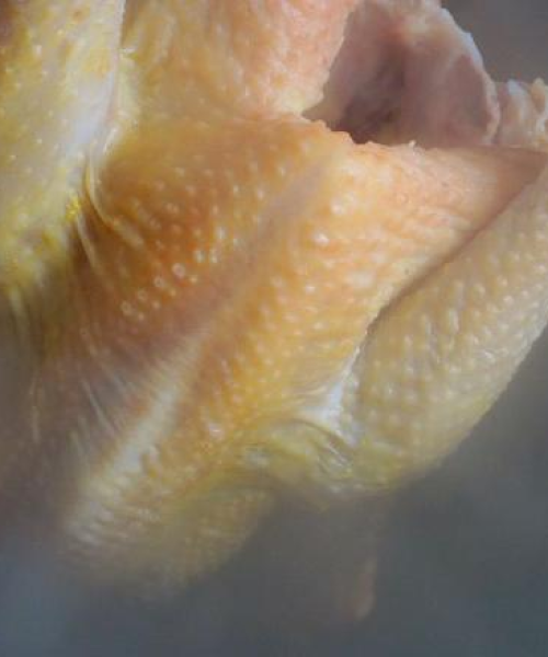 揭秘美食界巨头，白斩鸡连锁前十排名榜单！