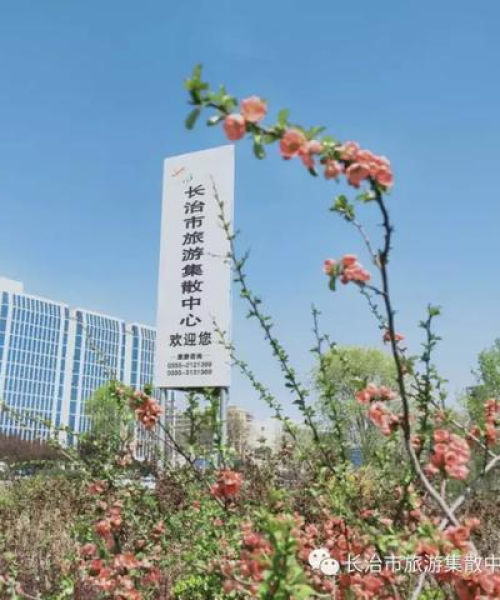 长治今日最新资讯概览，新闻头条一览无余