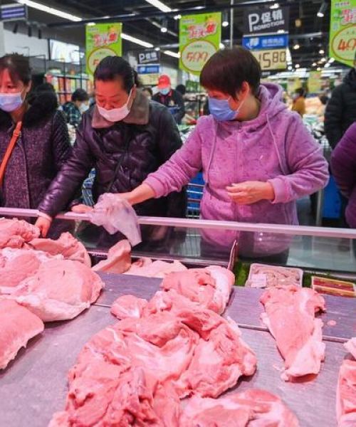 沧州生猪最新价格走势及分析揭秘