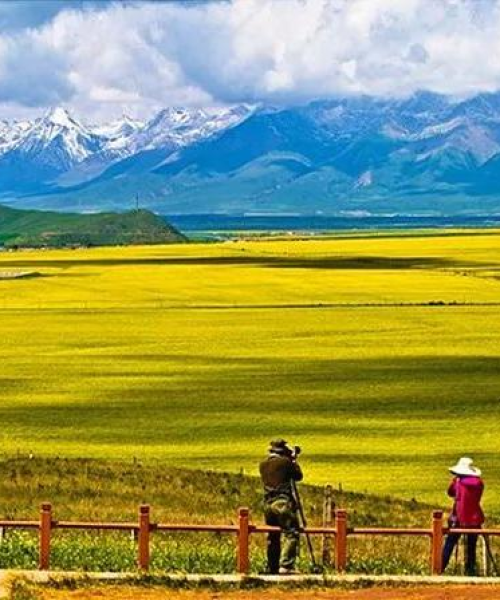 青海高原神秘之旅，大海旅游攻略探索之美