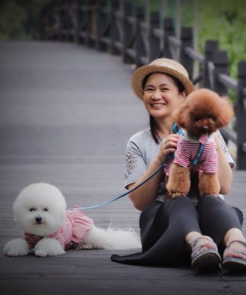 苏州航空旅游攻略，飞翔与古城魅力的完美融合之旅