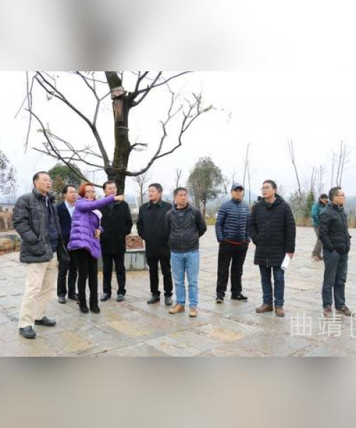 曲靖房车公司排名揭晓，探寻地方房车行业的领袖企业