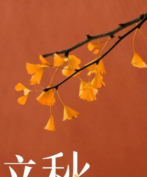 励志语录与美图融合的力量，激发无限正能量！