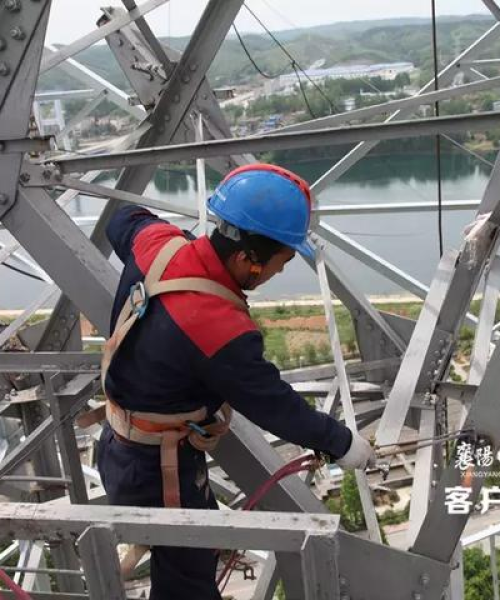 随州市供电公司排名及行业影响力深度解析