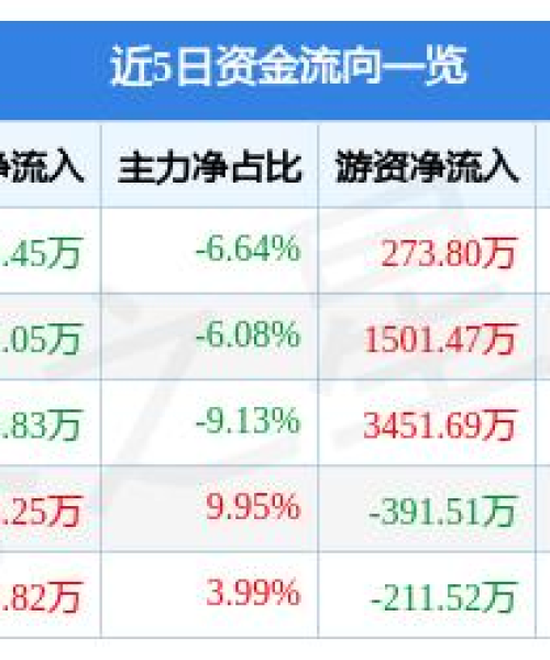 梅雁吉祥最新动态揭秘，企业发展新动向与光明前景探索