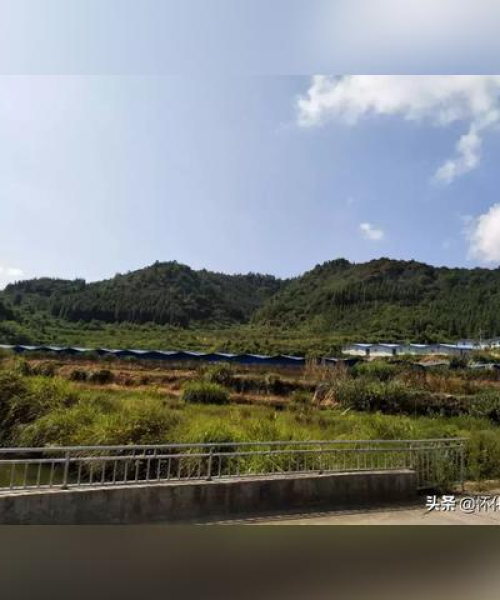 江口青山新闻瞩目，自然人文和谐交响——美景与发展共融