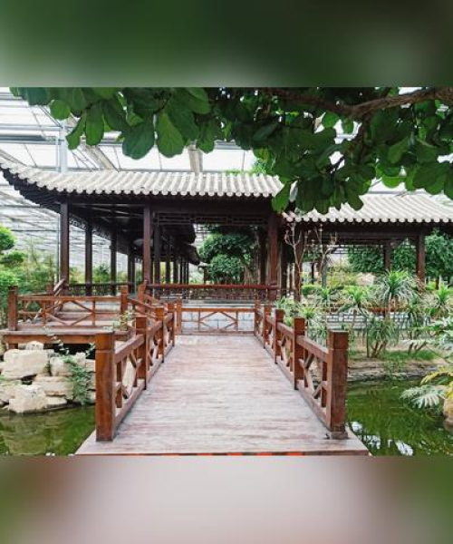 休闲谷探秘，自然之美与乐趣无穷全攻略
