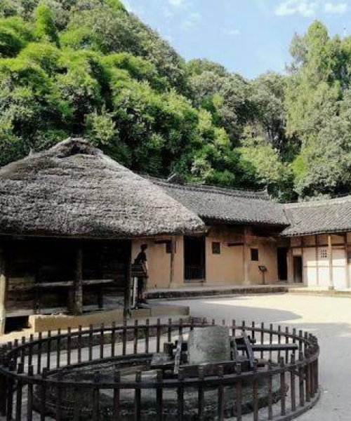 仪陇新闻头条，掌握地方最新动态，资讯一手掌握