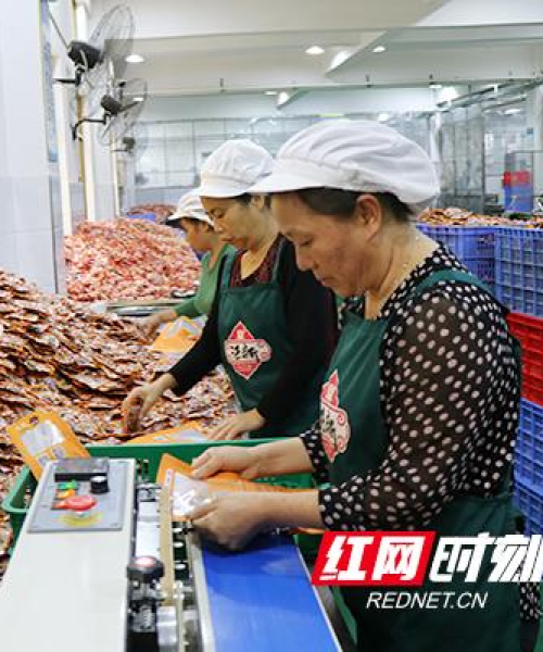 三湘武冈市发展脉搏与民生改善同步前行，新闻头条抢先看！