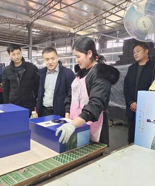 方城县博望镇二手房市场最新动态，优质房源出售速递