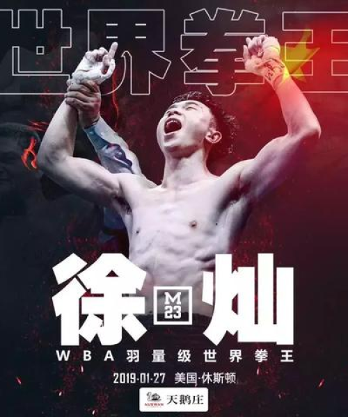庄励志语录，迈向成功的智慧指引