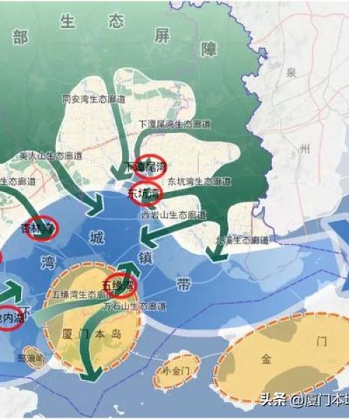 厦门地板行业巨头解读，公司排名全解析！
