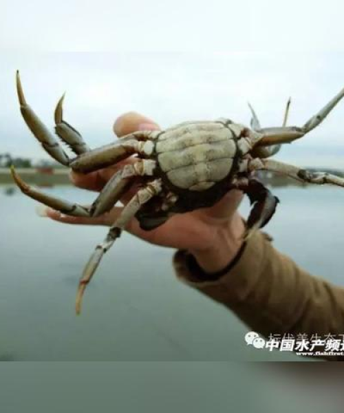 镇江氨氮处理器公司排名榜单揭晓！独家揭秘行业排名！