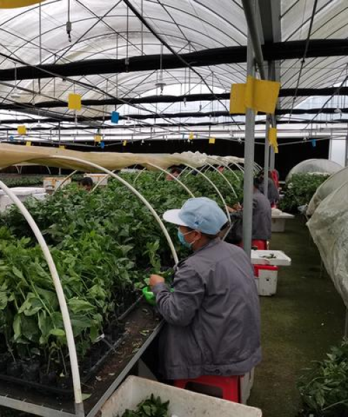 聚焦钦州销售妹子招聘最新动态，人才与机遇交汇点，不容错过！