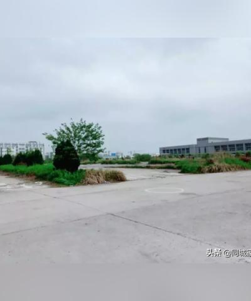 揭秘周边公司搬迁背后的秘密，排名、原因与趋势洞察