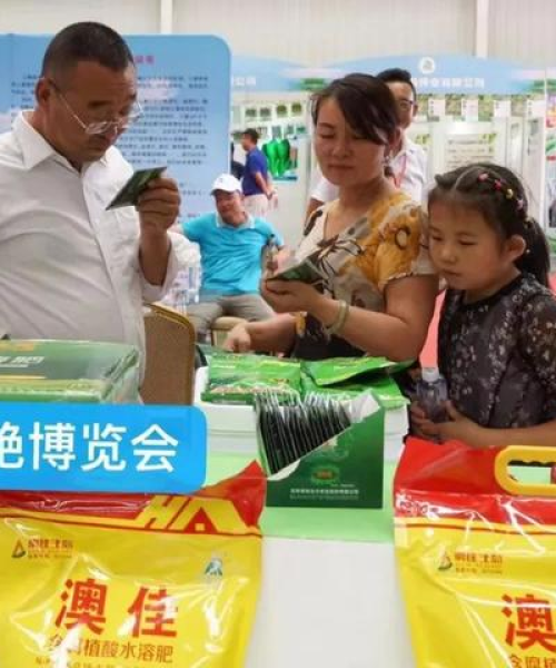 北京制种公司排行榜揭晓，行业领军者一览无余！