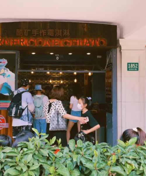 武康路出行指南，揭秘城市最新魅力打卡点
