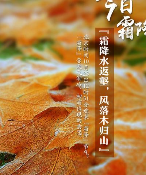 「霜降之美，独特韵味与精选图片大赏」——百度霜降图片集锦