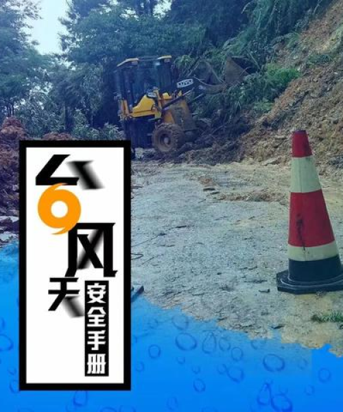 台风最新动态，秀屿今日台风消息视频及防范建议全解析