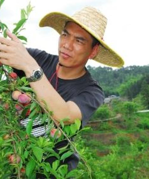 「肇庆农庄口碑榜单TOP10，领略乡村魅力的必游之选」
