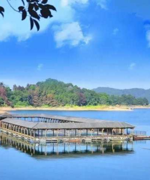 万绿湖今日生态美景与旅游新动向揭秘