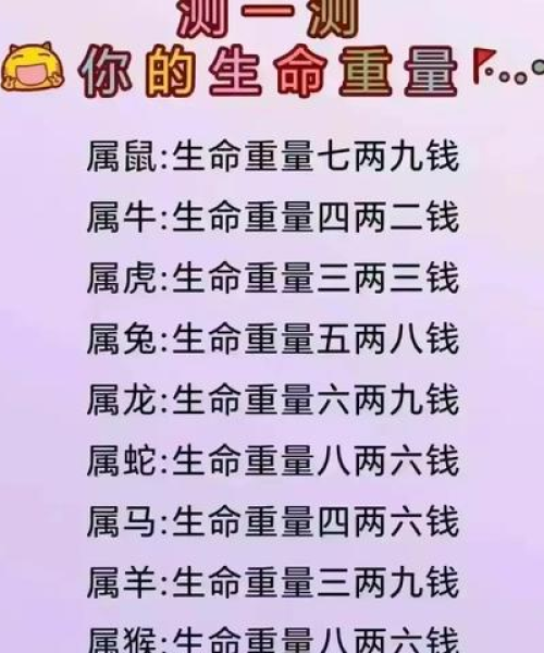 男童打底新风尚，探索2024最新款爆款衣服