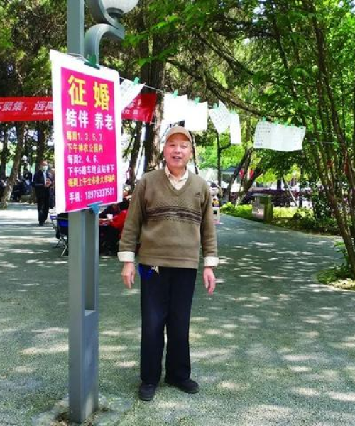株洲热门新闻聚焦，相亲现象的深度解读与探讨