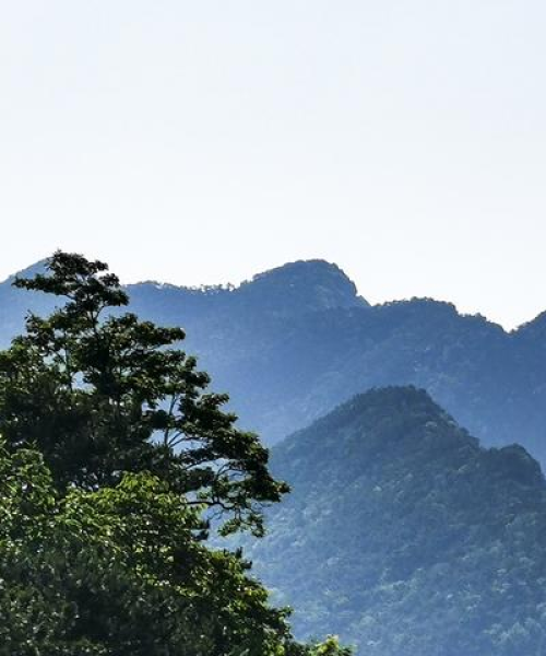 庐山旅游攻略，专业导游带你深度领略秀美庐山风光