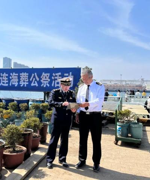 大连监控公司排名揭晓，行业影响力深度解读