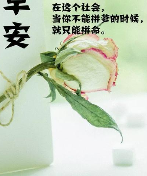 押韵短句励志语录，激发无限潜能，成就非凡人生！
