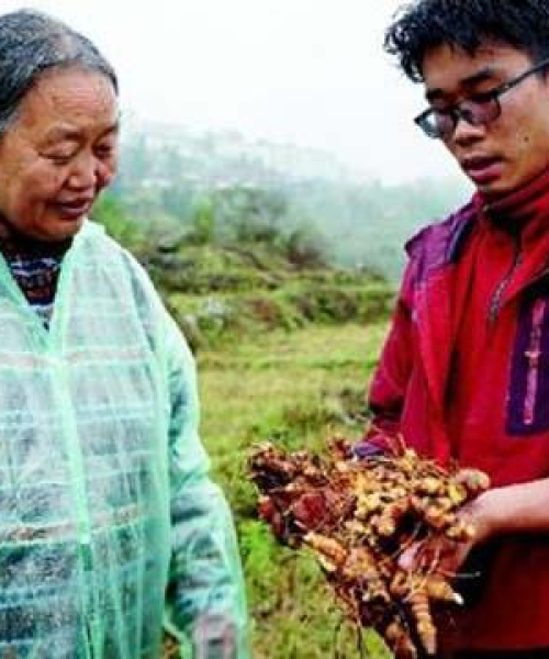 藏药公司排名揭晓，探寻行业领军者，了解业界翘楚！