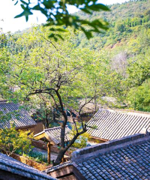河南新农村规划启动，迈向现代化新征程的喜讯来袭