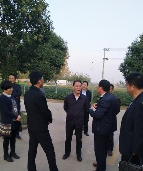 涡阳利辛最新新闻头条，地方发展脉搏与民生关注焦点全解析