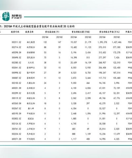 全球公司与证券市场背后的力量洞察，深度解读排名与影响