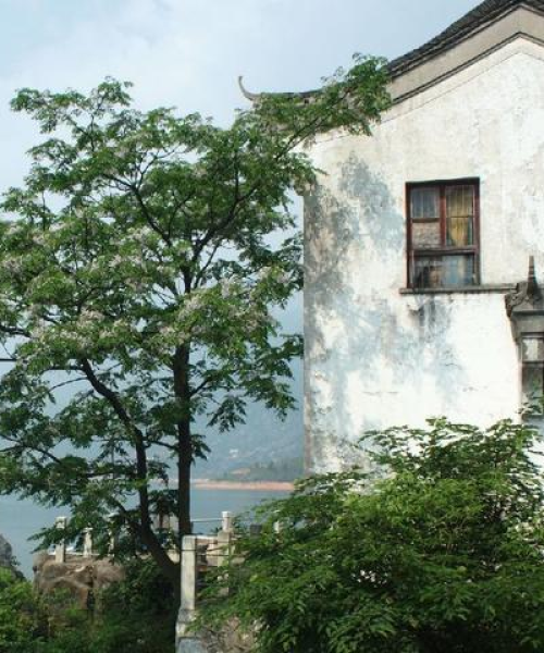 湖南郴州旅游攻略，最新游玩指南