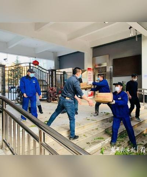 今日云南莴苣行情，最新价格、市场走势及种植户心态揭秘