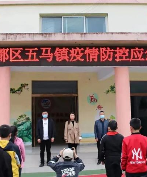 武都疫情最新动态分析，今日疫情数据揭秘