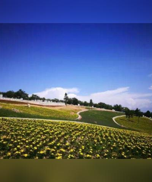 陕西至湖北乡村秘境探寻，深度农村旅游攻略体验别样风情