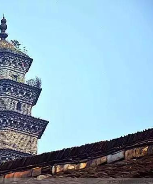 金粉节探秘之旅，独家旅游攻略大放送！