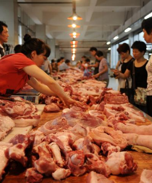 福州今日猪价走势，最新价格分析与趋势预测